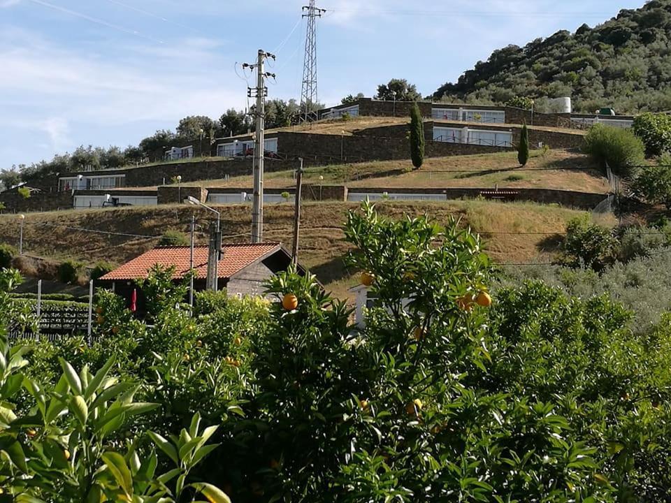 Moradias Do Douro Internacional Villa Freixo de Espada a Cinta Exterior photo